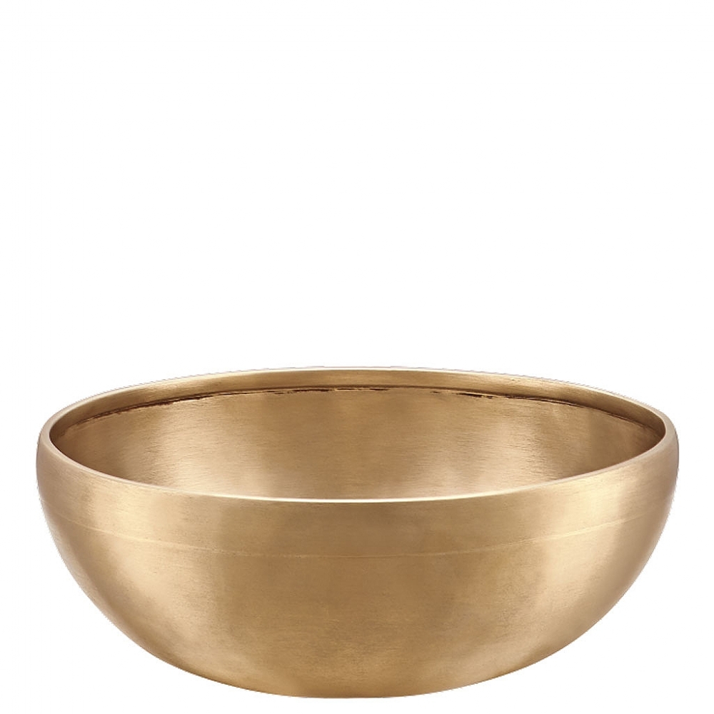Meinl Klankschaal E-700