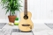 Tenor Ukelele