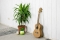 Concert Ukelele Luxe